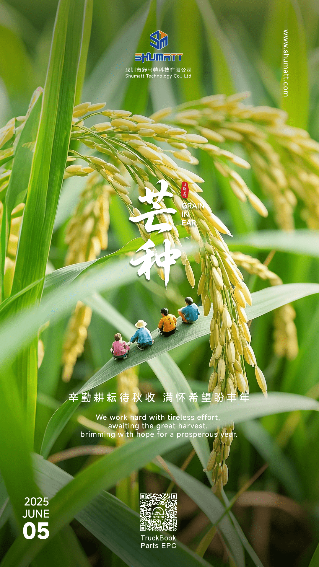 芒种海报_new.png